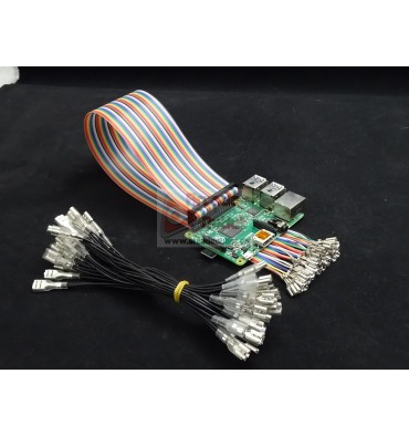 Cableado para GPIO Raspberry